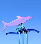 DSCN9212 Fish Riding a Bicycle