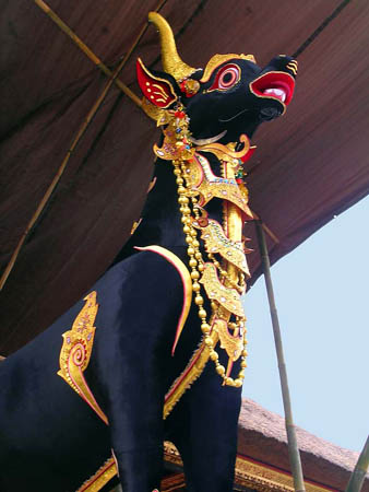 06 Bull for funeral procession