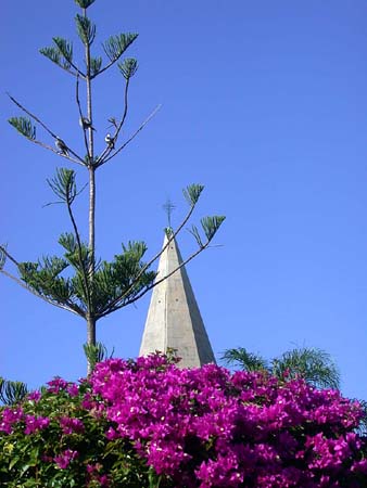 10 Bouganvilla, Evergreens and Church Spire