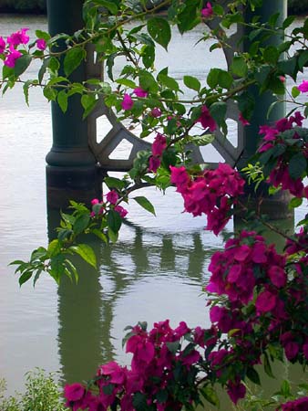 8 Bridge to North Bundy