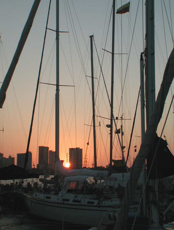 DSCN2064MastsAgainstSkylineatSunset