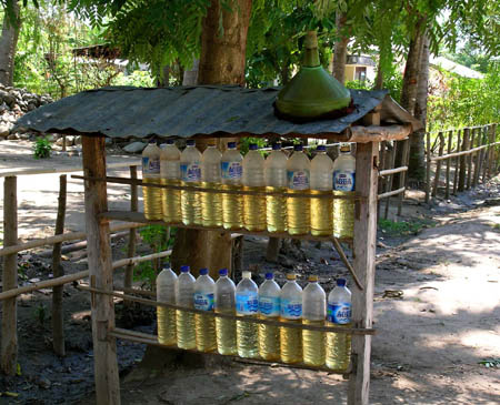 5  Indonesian Village Petrol Station
