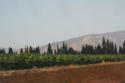 30 Racing by the Golan Heights