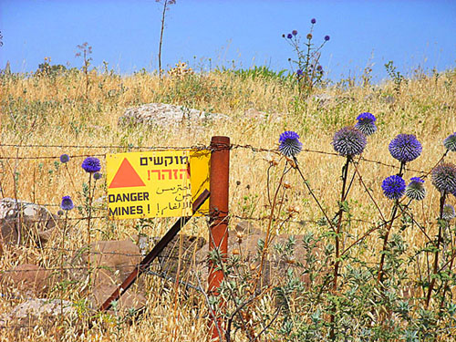 32 Israel. Danger MINES sign in Golan Heights