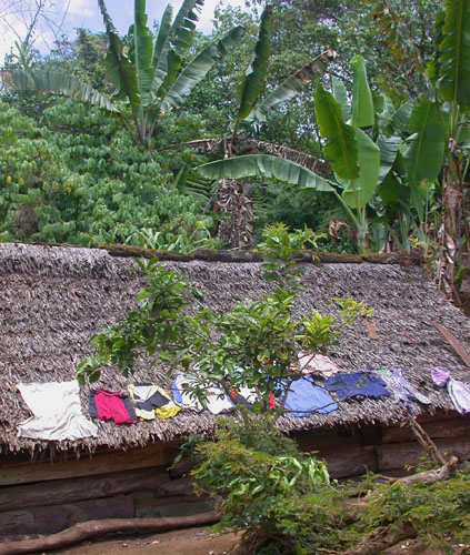 DSCN7796 Village Clothesline
