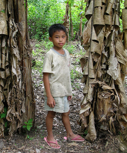 Lois' Guide to the Rafflesia, Borneo