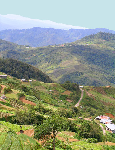 Terraced Mountains of Borneo