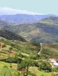Terraced Mountains of Borneo