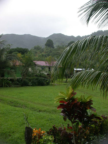 DSCN5251 Lush Village View