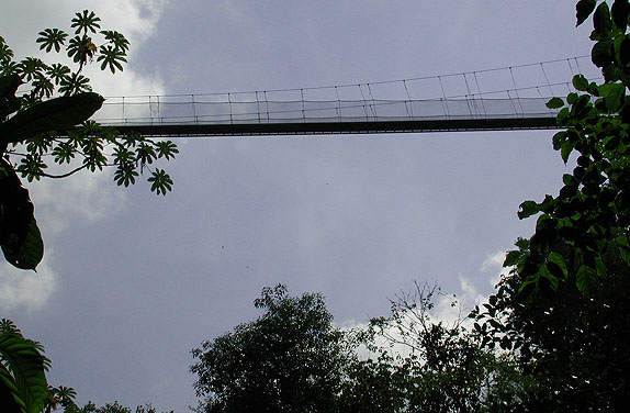 OhMyGodBridgeAgainsttheSky