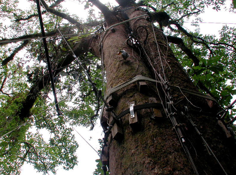 TheGearthatHoldsuptheSuspensionBridge
