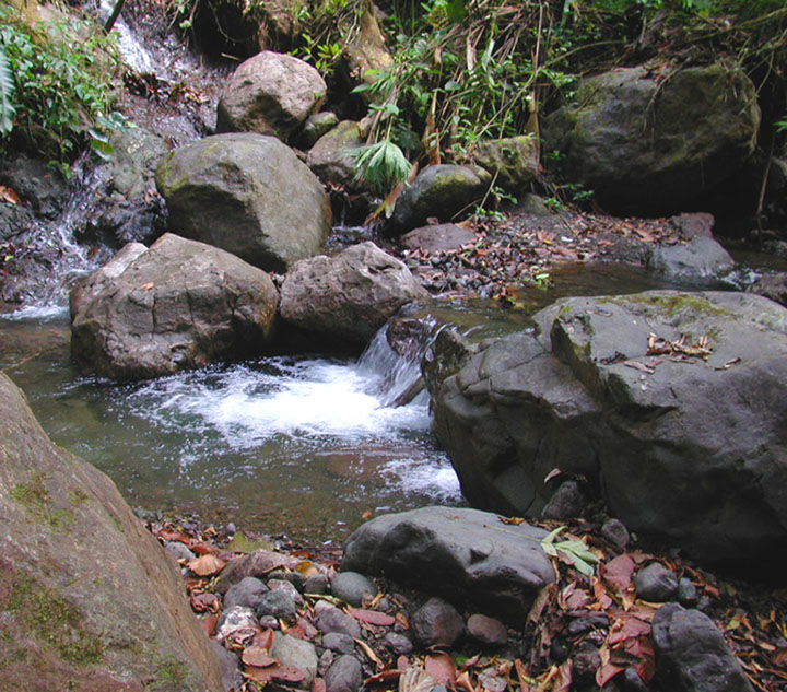 WaterfallandPool-RainmakerTour