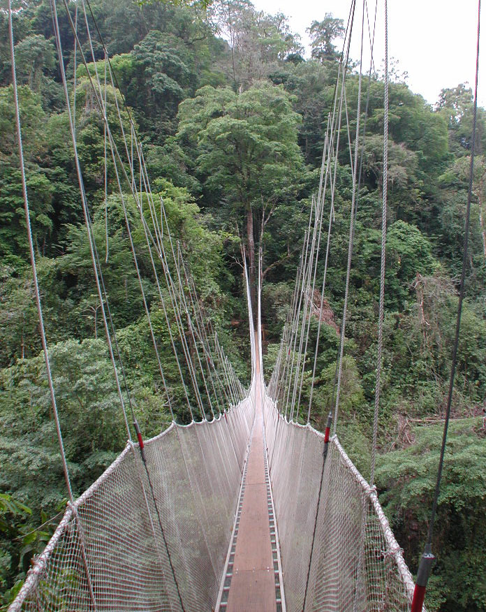 WideAngleViewofOhMyGodBridge