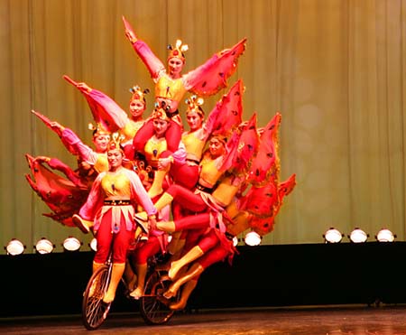 20 The Bike Butterfly