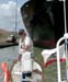 MulesPulltheFreighterForwardBehindUsDSCN2467