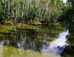 Can you find the Croc