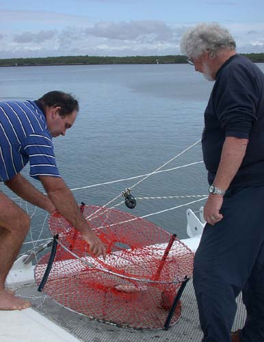 DSCN0134 Crabbing