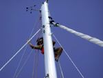 DSCN5067_Lois_Goes_Up_the_M