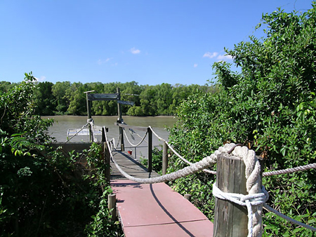 02 The Boardwalk to the Croc Watch Boat