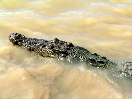 10 Too close for comfort