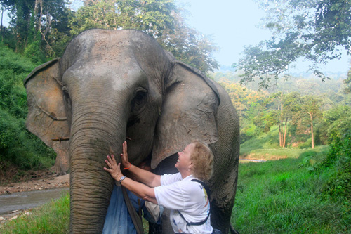 IMG_5887 Lois looks the elephant in the eye