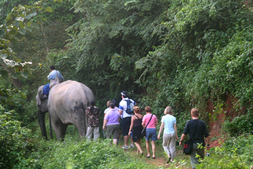 IMG_5901 We follow the elephant back to the Royal Stables
