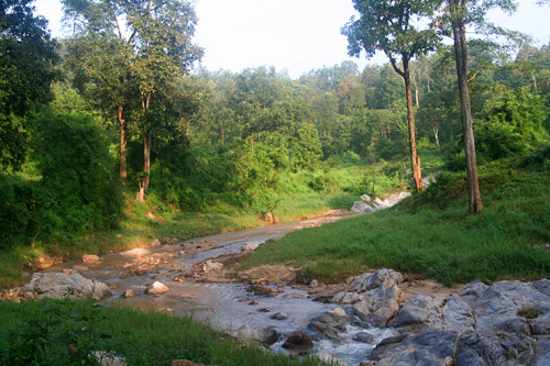 IMG_5903 A River Runs through it