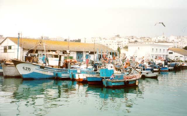 image1tangier