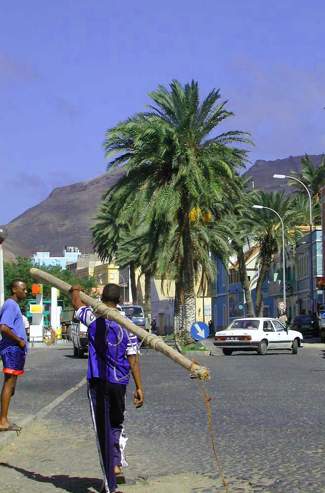 StreetScene