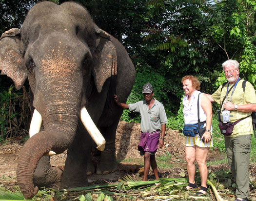 DSCN9997 Lois and Gunter with elephant