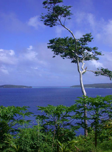 DSCN8941ViewfromPapauResort